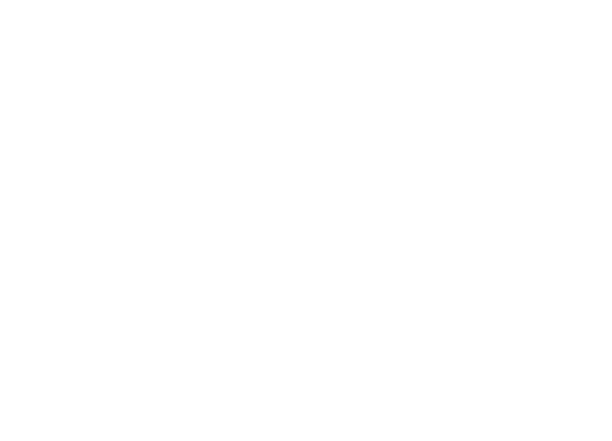 The Cat Ladies logo